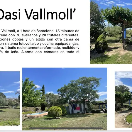 Masia Oasis Vallmoll