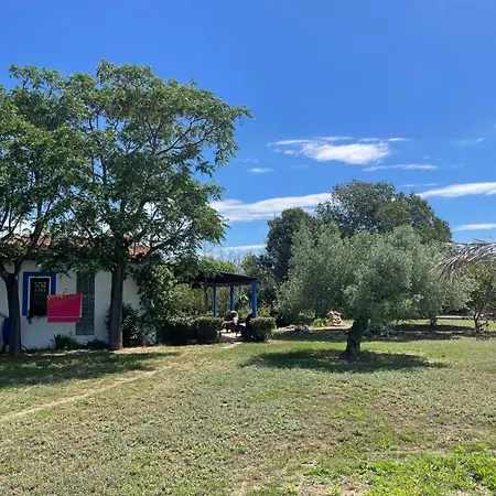 Masia Oasis Vallmoll 度假居 *