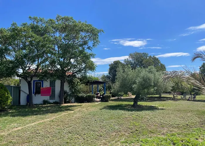 Masia Oasis Vallmoll 度假居 *